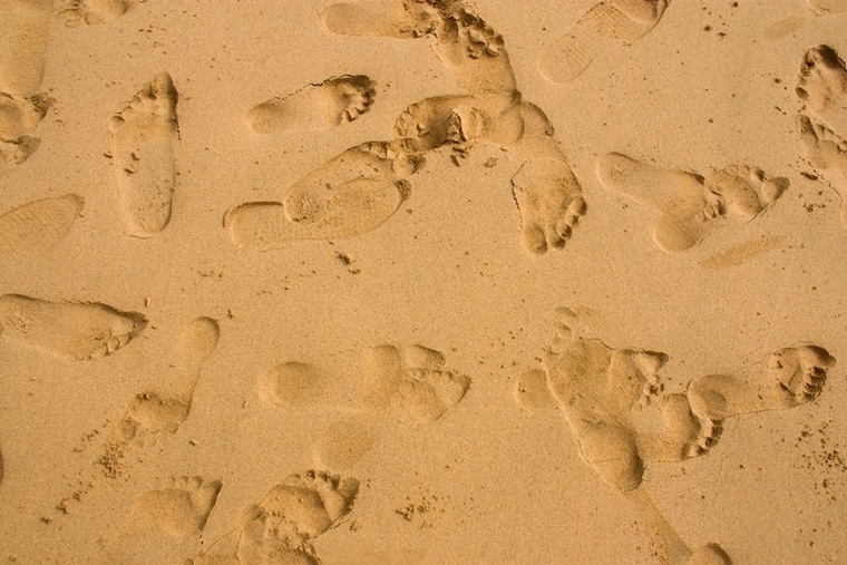 C'est le pied cover image