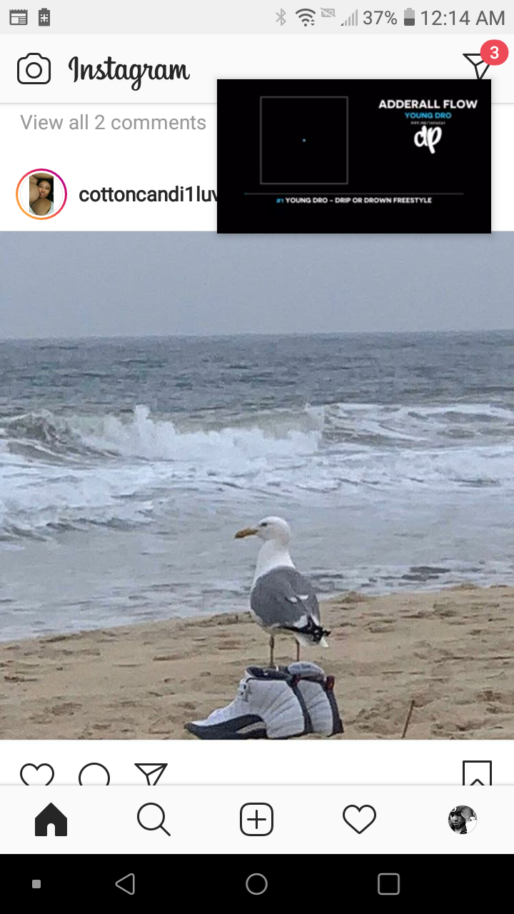 Zaddy banner image