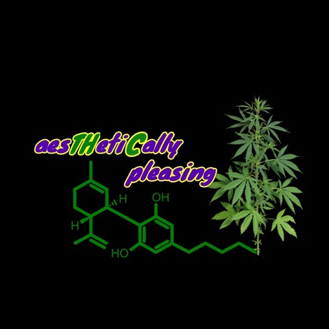 The Hippie cover image