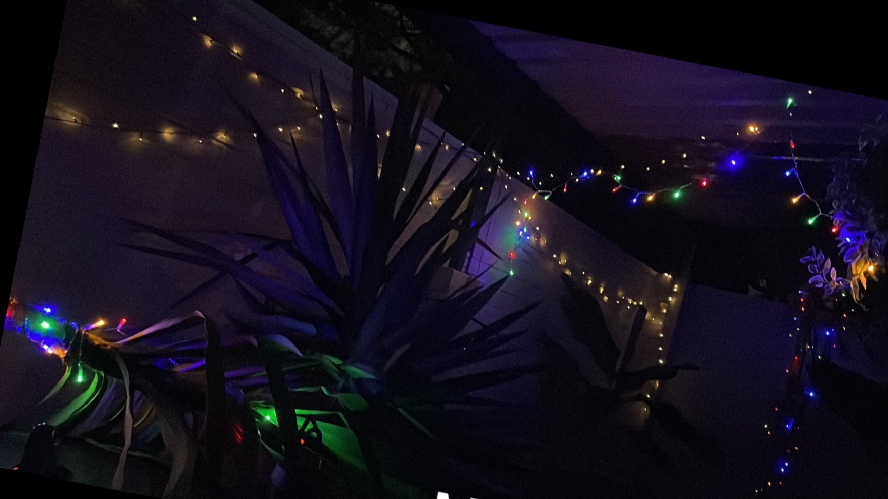 Clo_love banner image