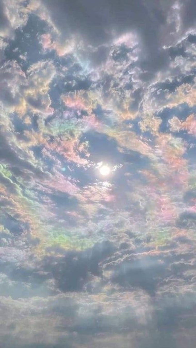 bunny ☁️ cover image