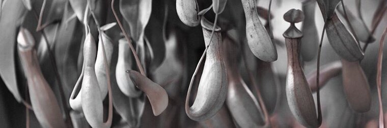 ᴄʟᴜʙ_ᴏᴅғ banner image