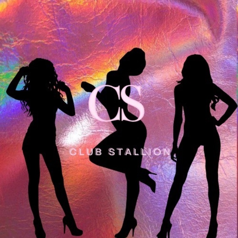 Sensational Stallions cover image