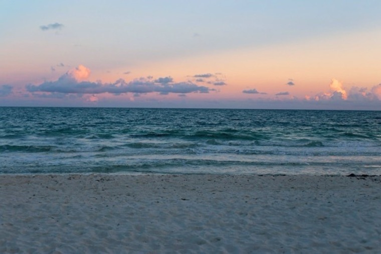 CoastalPrincess banner image