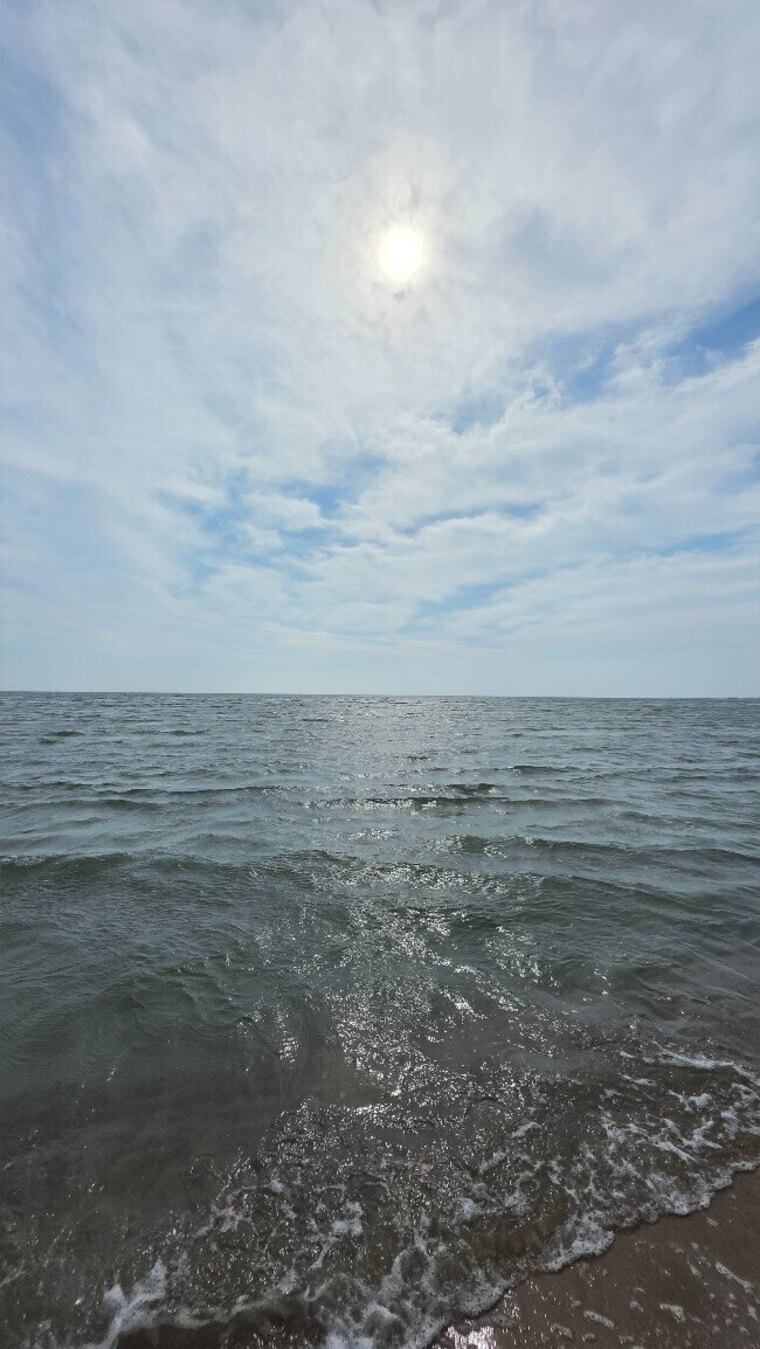 Coastal TaTa cover image