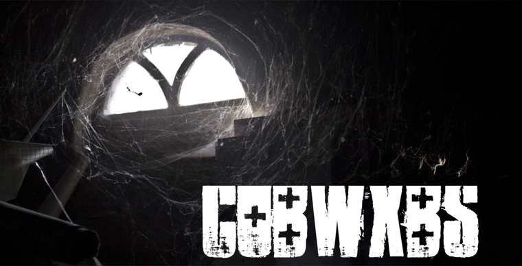 Cobwxbs cover image