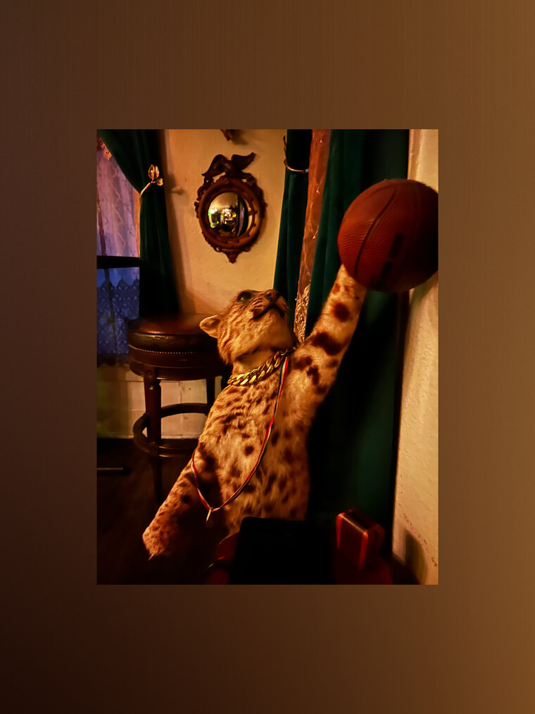 cocktoetwin cover image