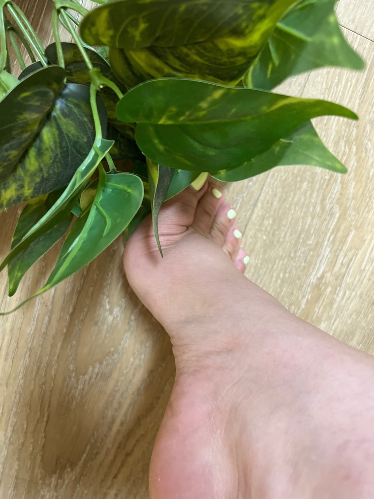 Coco’s Feet cover image