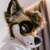 Codyafterbarks avatar