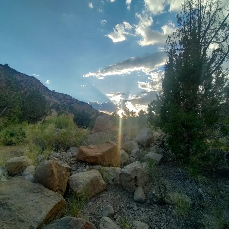 Cody Kunz banner image