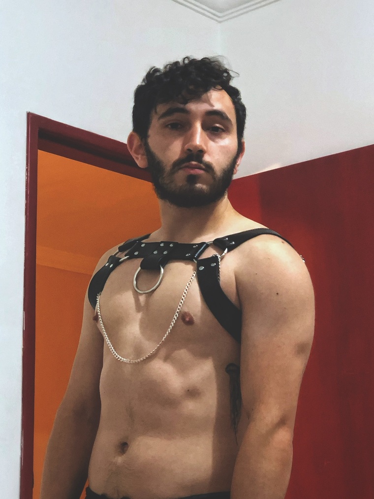 La Jaula de la Loba cover image