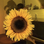 SunflowerK avatar