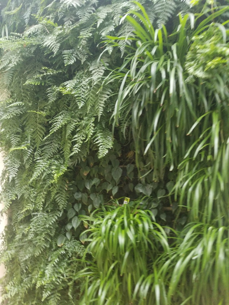u323335289 cover image
