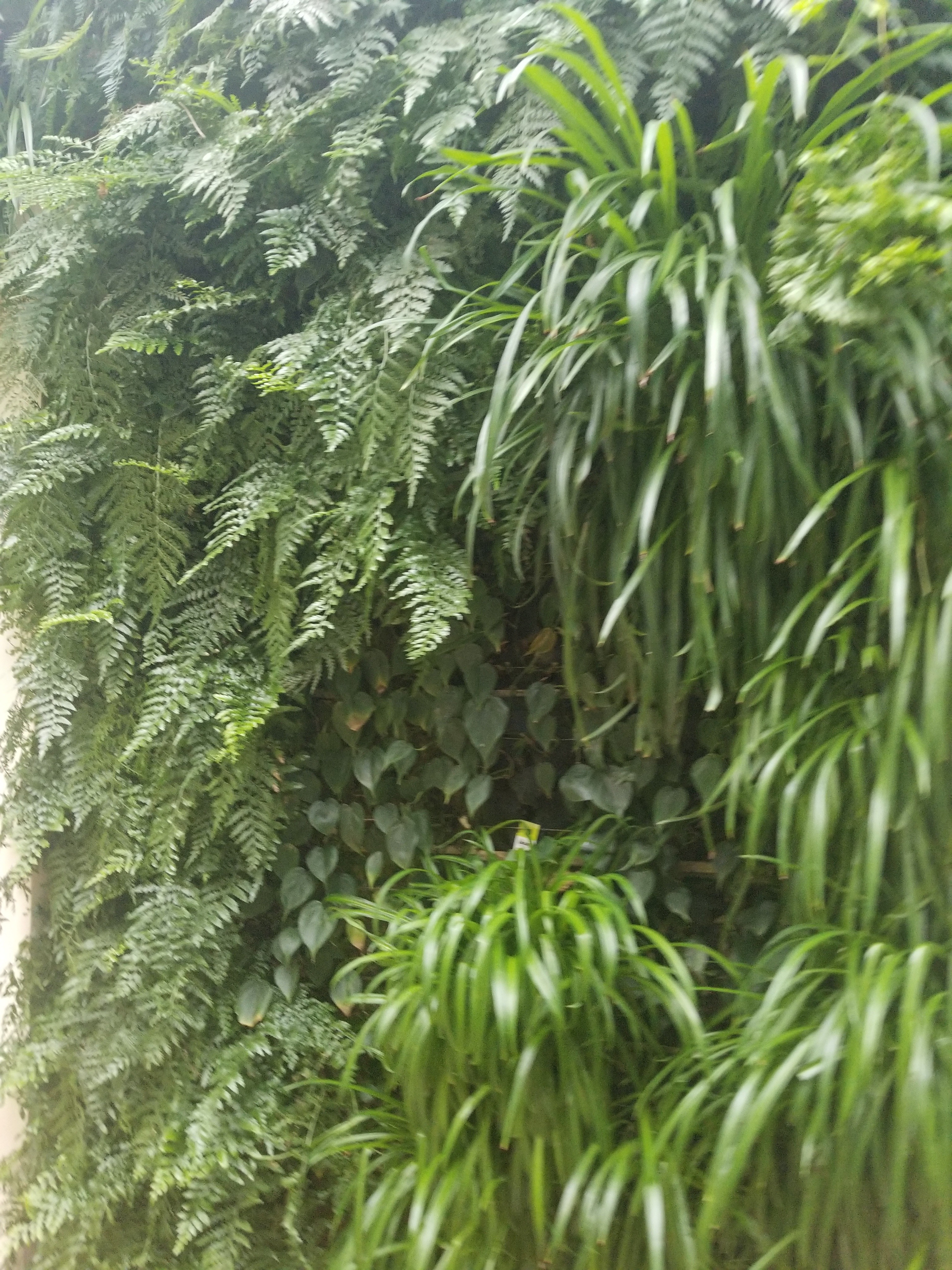 u323335289 banner image