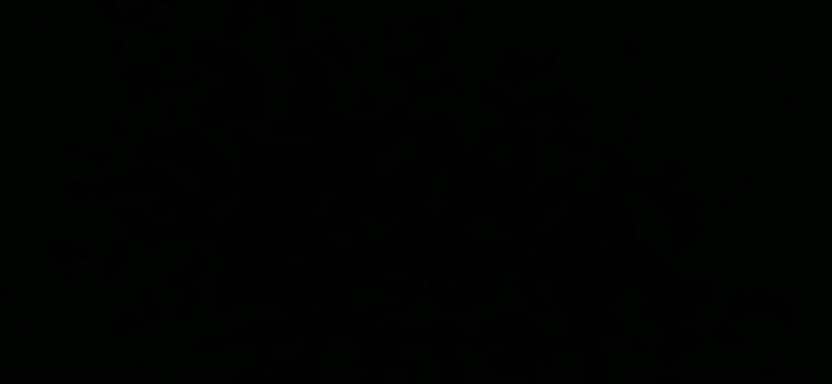 Coloradoc cover image
