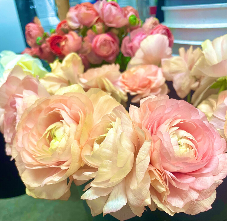 ConnorTheFlowerMan banner image