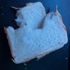 DaniFoodCoomies avatar