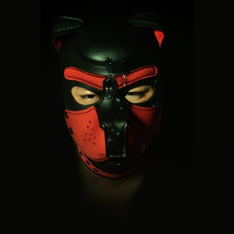 Copper Pup banner image
