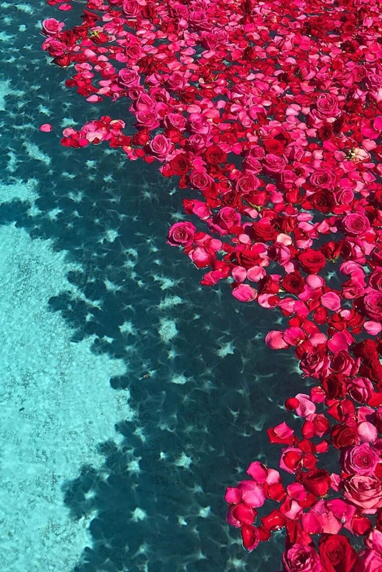 Coquerita cover image
