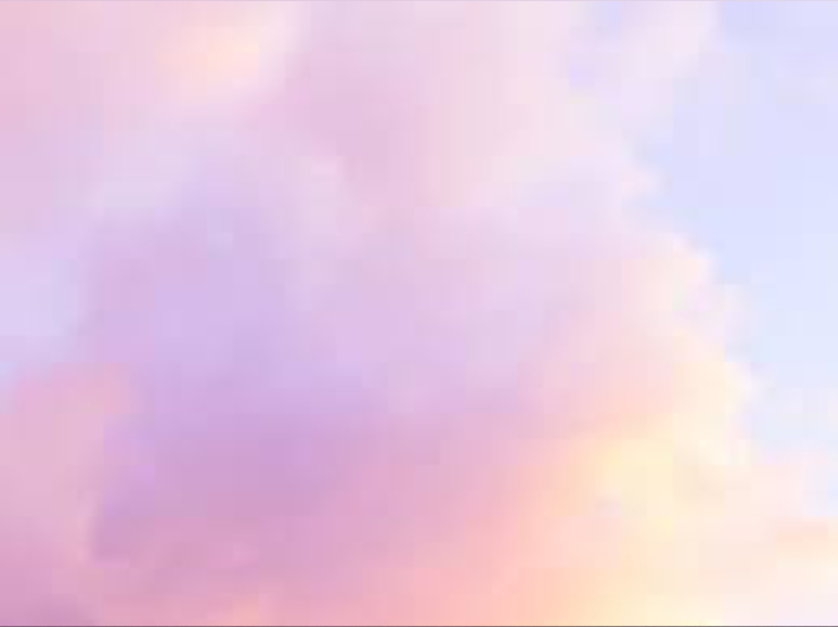 Coquette Ariana banner image