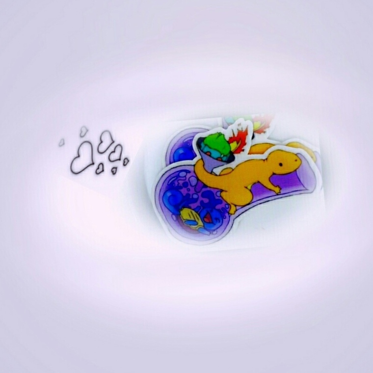 Coral cover image