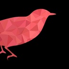 Corbeau Rouge avatar