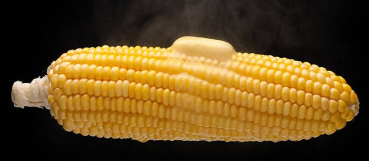 Born to be Corn π½ banner image