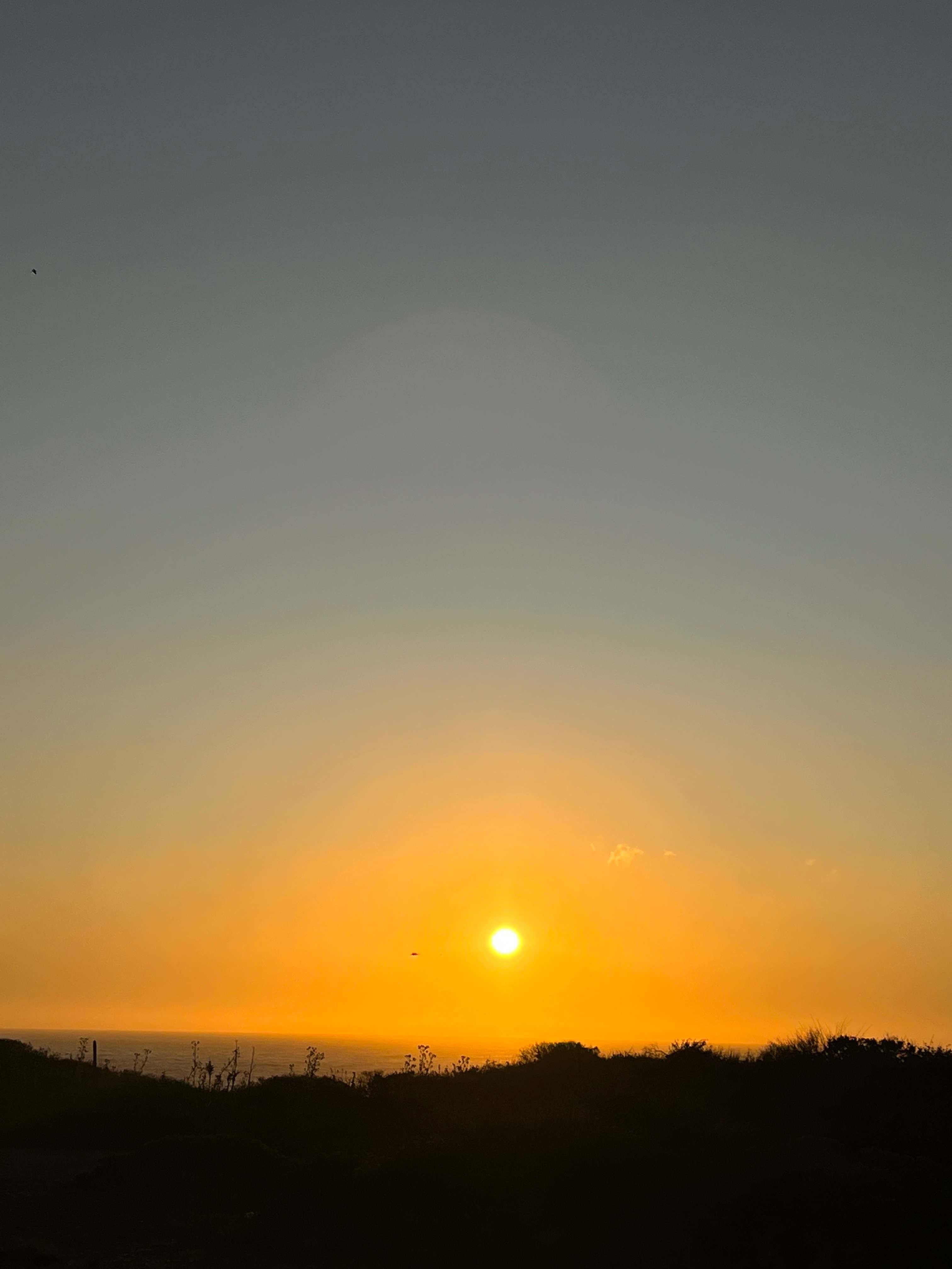 u86501216 banner image