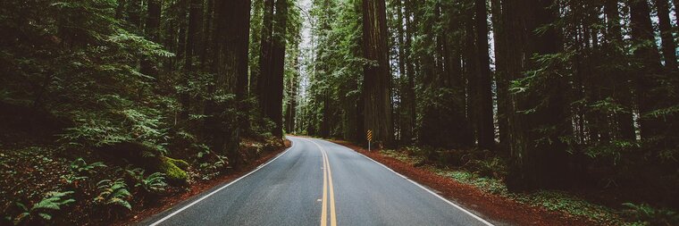 Corwin Prescott banner image