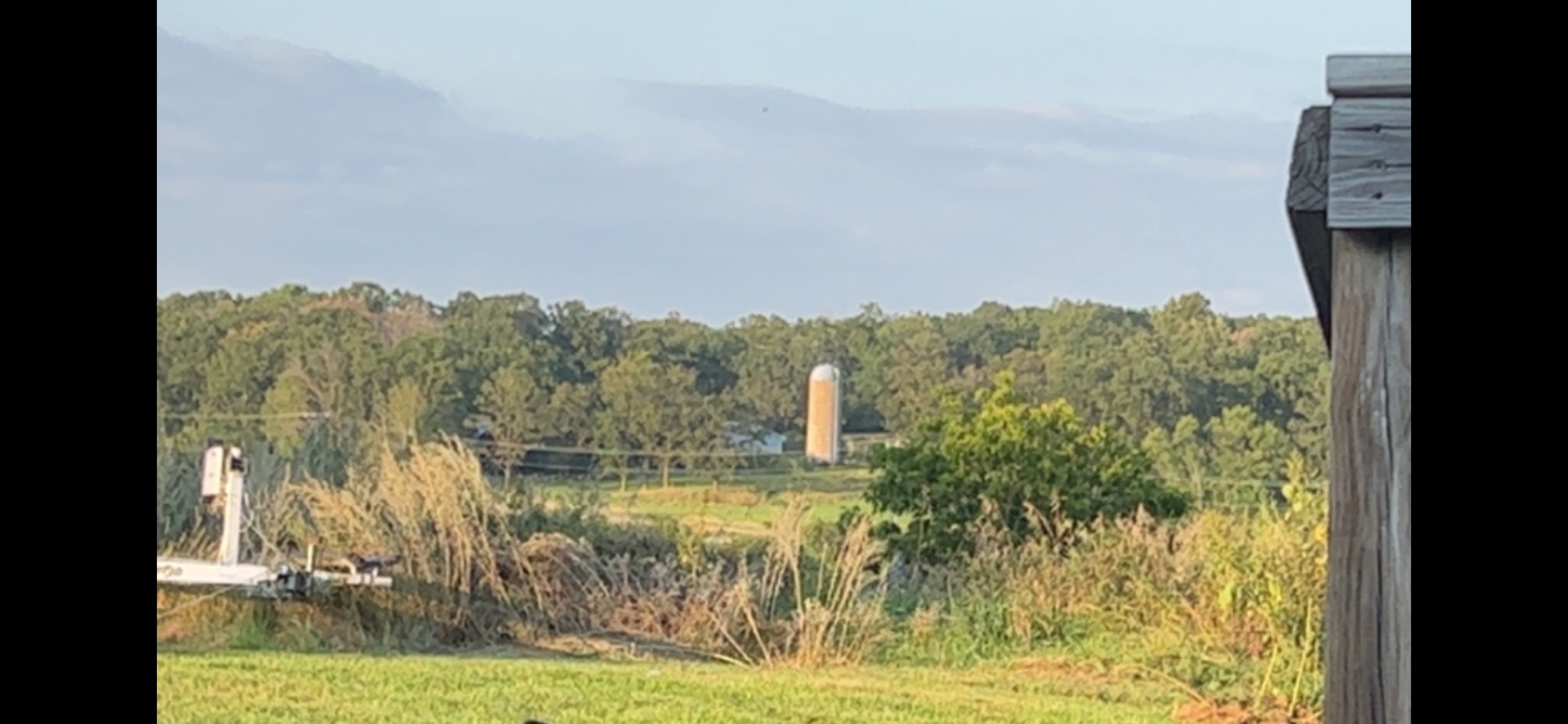 Ally banner image