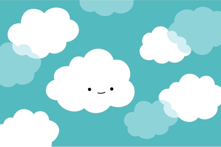 Cotton banner image