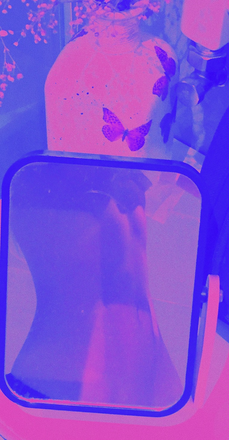 Cougar banner image