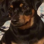 Lilbit avatar