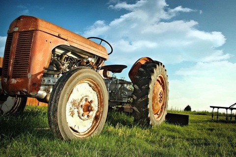 Suds in a bucket cover image
