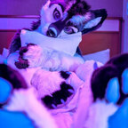 Couple Foxy Furry avatar