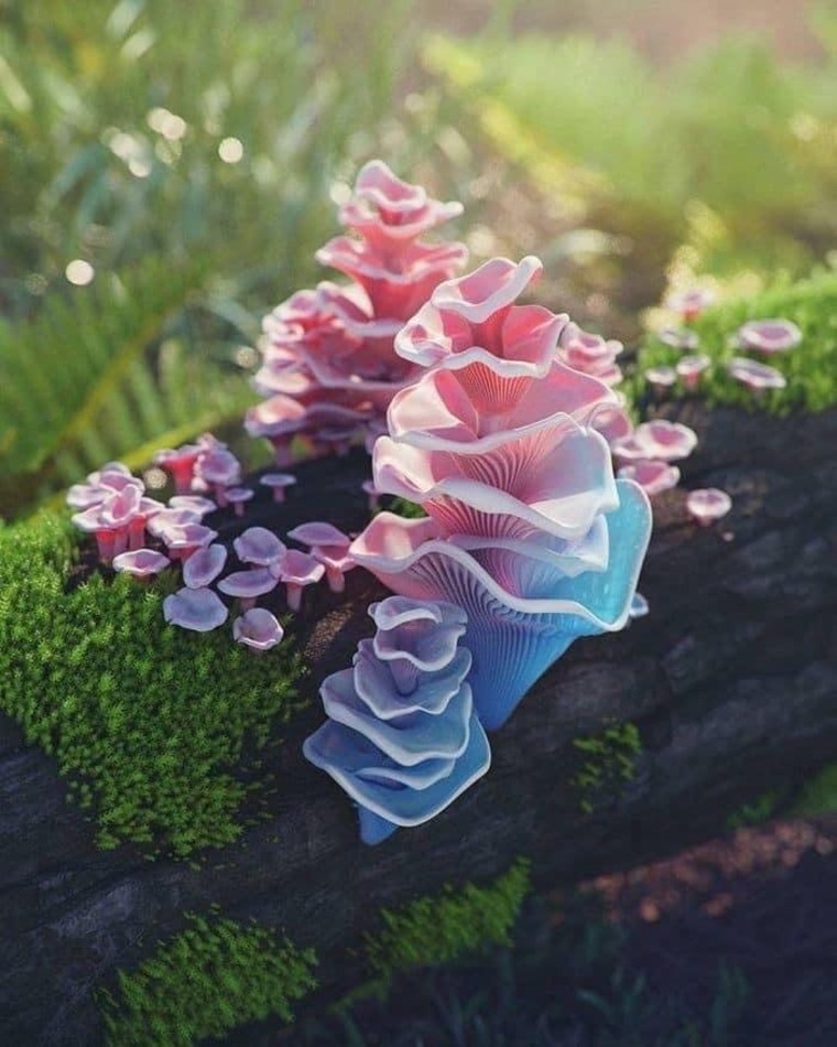 Coverfly429 cover image