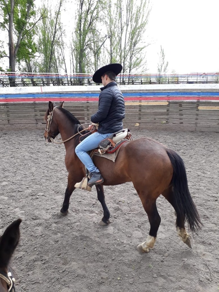 CowboyGainer banner image