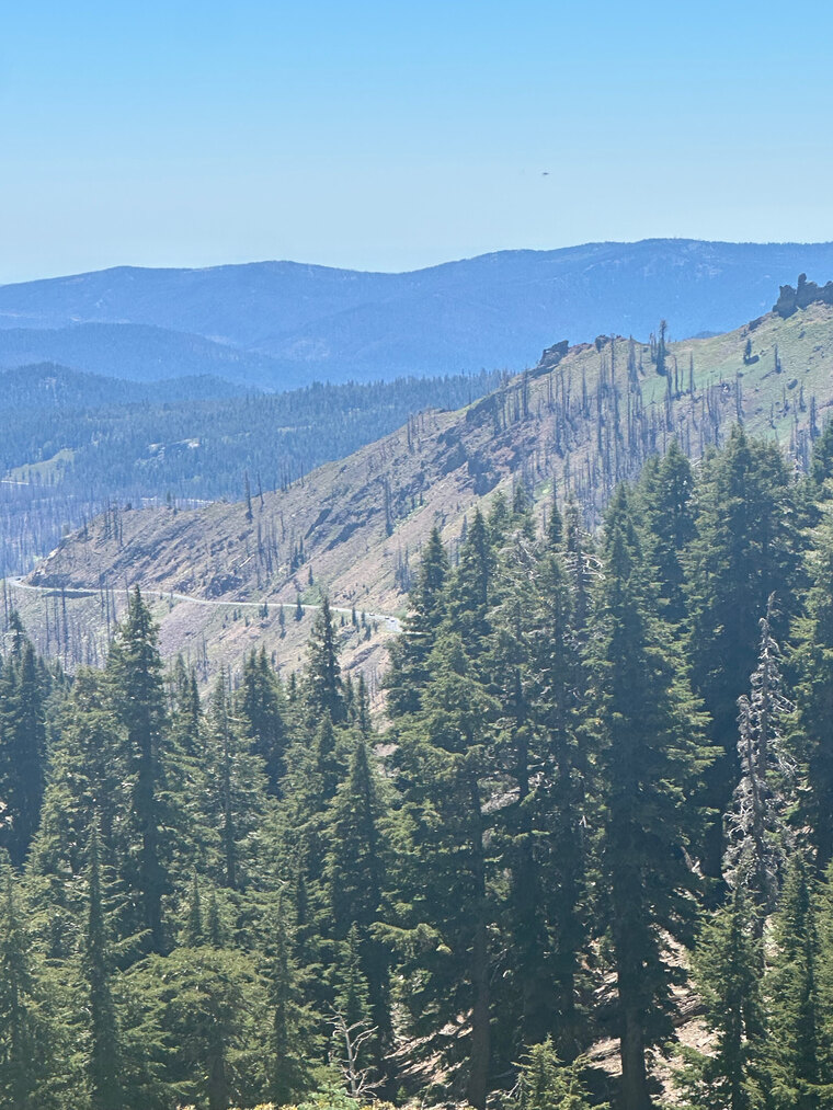 Mocha banner image