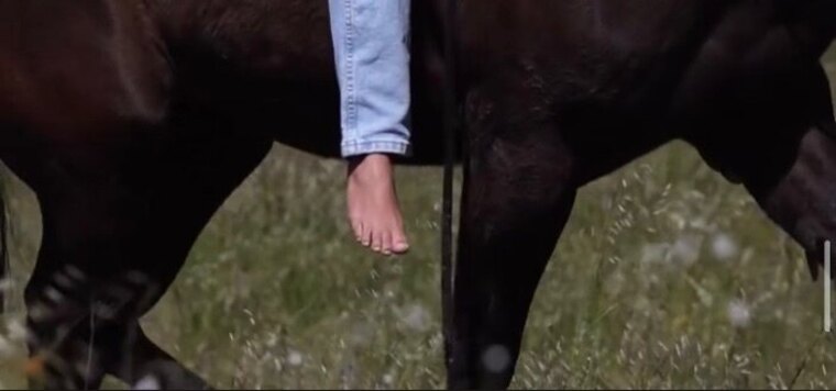 Cowgirlfootclub banner image