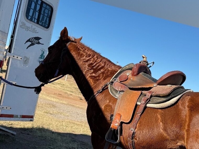 Cowgirl K banner image