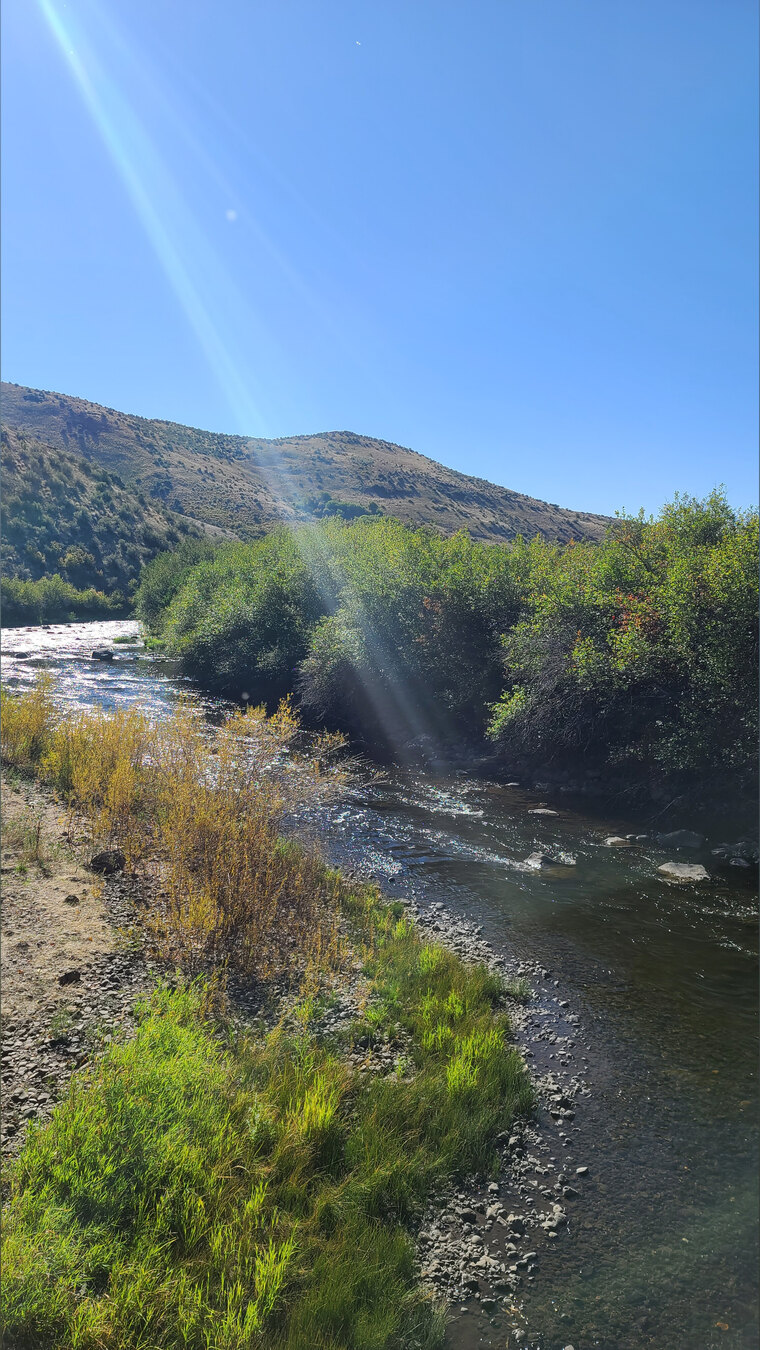 Dani Montana cover image