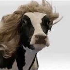 Cowpoleon avatar