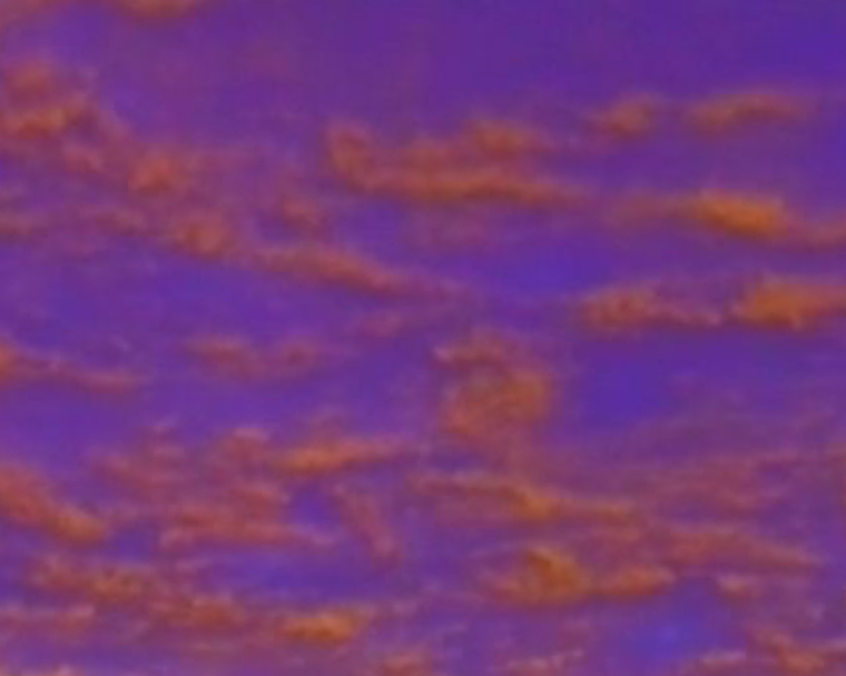 Seb banner image