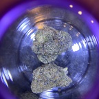 pussy detroyer avatar