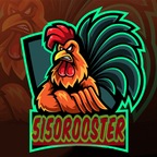 Rooster’s Henhouse avatar