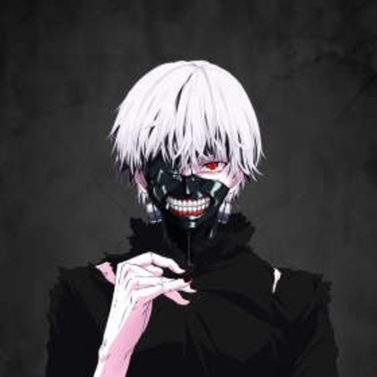 Lipp cover image