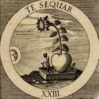 Nicolas avatar