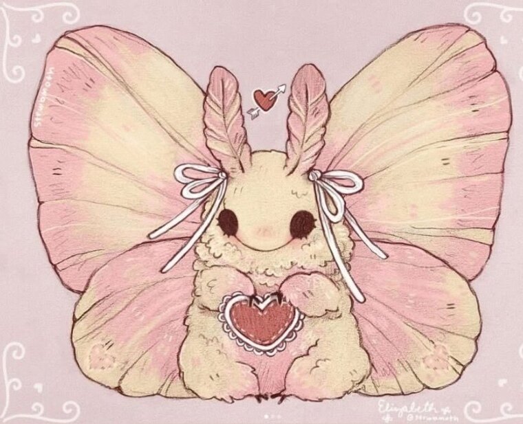 Lottie cover image