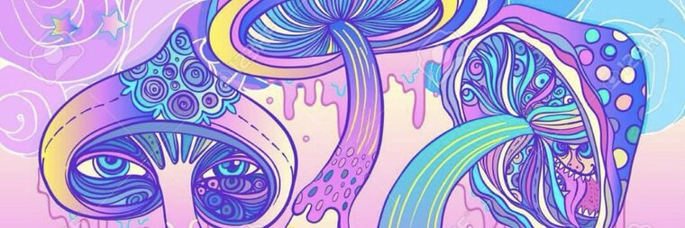 Kurly 😇 banner image