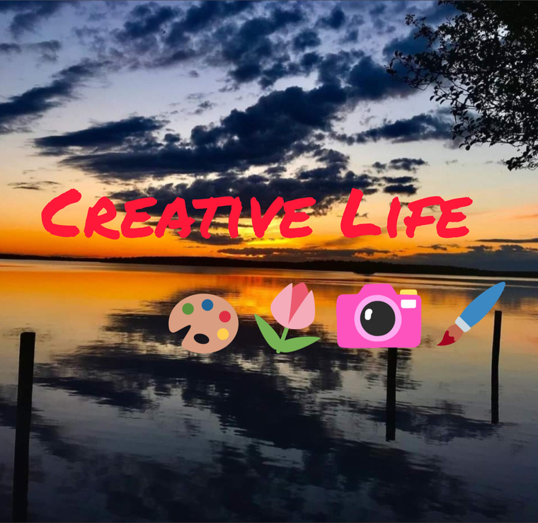 Creative Life cover image